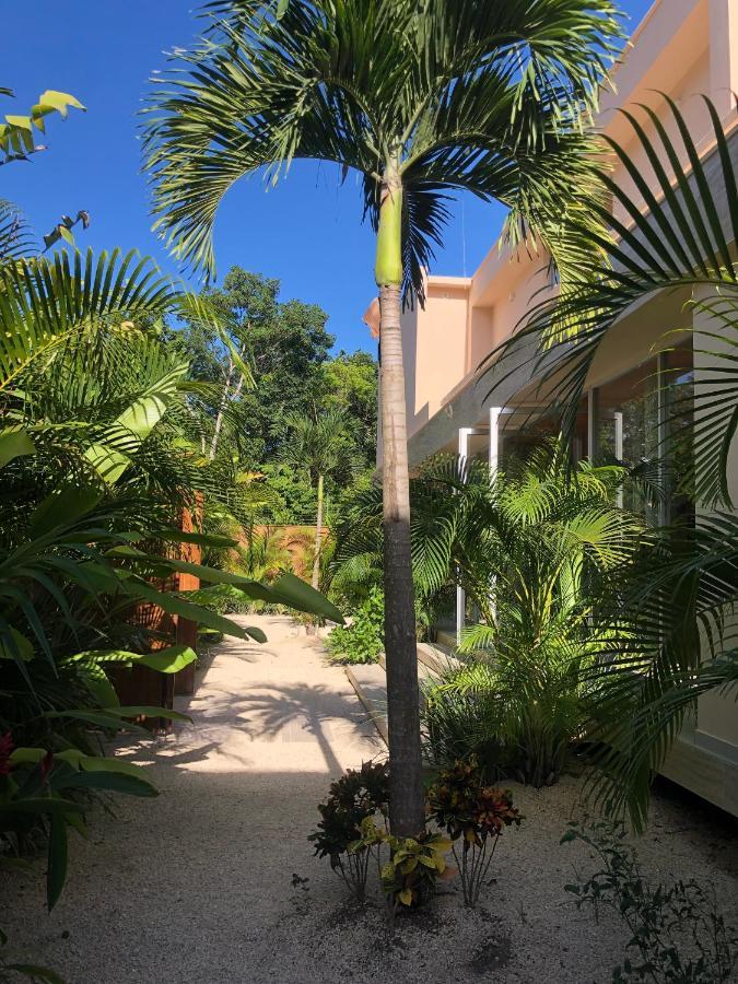 11Br I Hacienda Zalama Tulum Eksteriør bilde